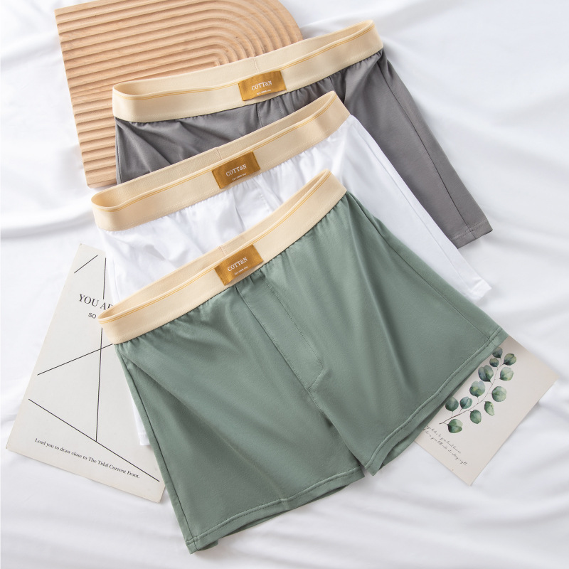 4 stücke Männliche Pfeil Hosen – Boyshort Underwear Bewertung und Preis